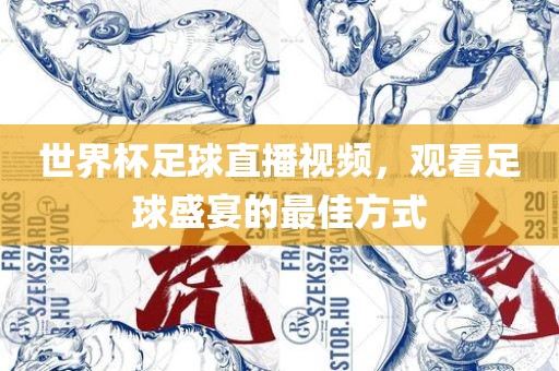 世界杯足球直播视频，观看足球盛宴的最佳方式