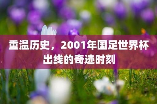 重温历史，2001年国足世界杯出线的奇迹时刻
