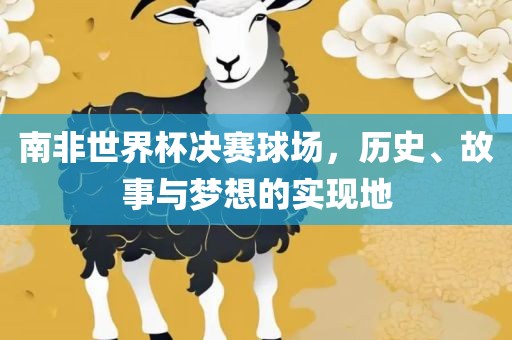 南非世界杯决赛球场，历史、故事与梦想的实现地漯河市盈旭机械设备有限公司