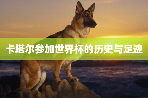 卡塔尔参加世界杯的历史与足迹漯河市盈旭机械设备有限公司