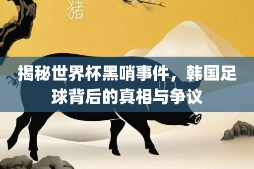 揭秘世界杯黑哨事件，韩国足球漯河市盈旭机械设备有限公司背后的真相与争议