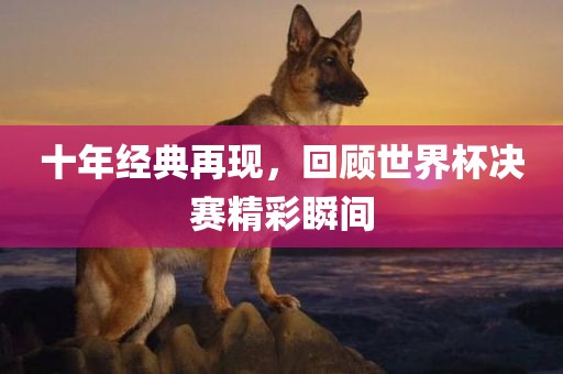 十年经典再现，回顾世界杯决赛精彩瞬间