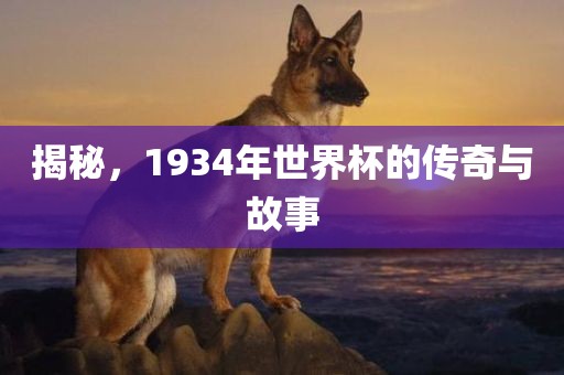 揭秘，1934年世界杯的传奇与故事