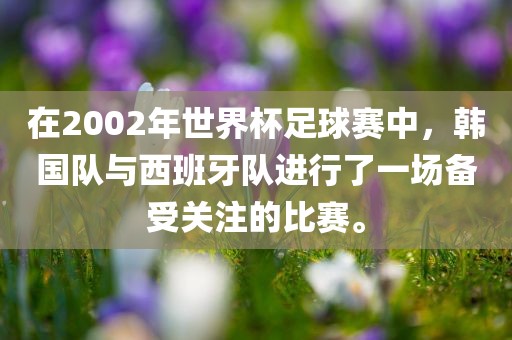 在2002年世界杯足球赛中，韩国队与西班牙队进行了一场备受关注的比赛。