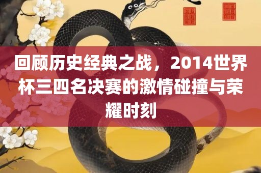 回顾历史经典之战，2014世界杯三四名决赛的激情碰撞与荣耀时刻