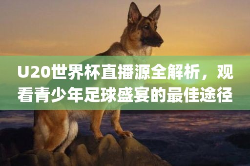 U20世界杯直播源全解析，观看青少年足球盛宴的最佳途径漯河市盈旭机械设备有限公司
