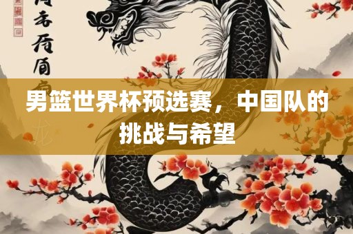 男篮世界杯预选赛，中国队的挑战与希望