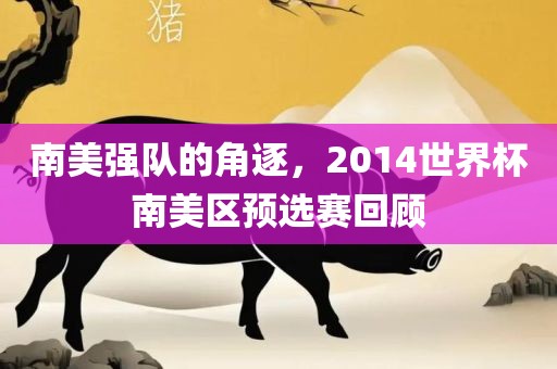 南美强队的角逐，2014世界杯南美区预选赛回顾
