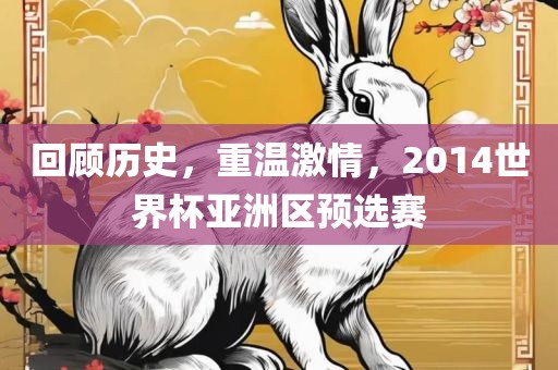回顾历史，重温激情，2014世界杯亚洲区预选赛