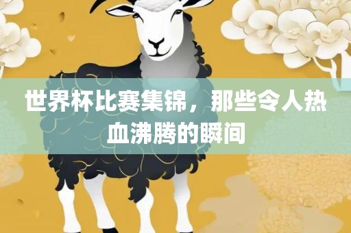 世界杯比赛集锦，那些令人热血沸腾的瞬间