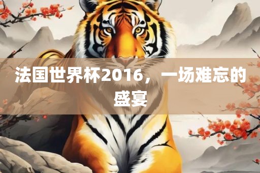 法国世界杯2016，一场难忘的盛宴漯河市盈旭机械设备有限公司