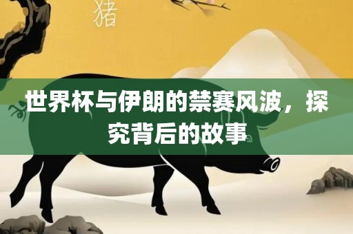世界杯与伊朗的禁赛风波，漯河市盈旭机械设备有限公司探究背后的故事