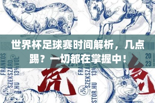 世界杯足球赛时间解析，几点踢？一切都在掌握中！漯河市盈旭机械设备有限公司