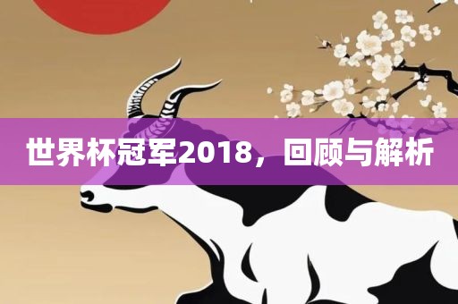 世界杯冠军2018，回顾与解析漯河市盈旭机械设备有限公司