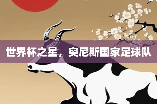 世界杯之星，突尼斯国家足球队