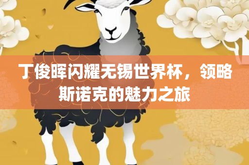 丁俊晖闪耀无锡世界杯，领略斯诺克的魅力之旅