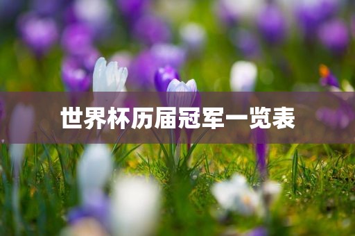 世界杯历届冠军一览表
