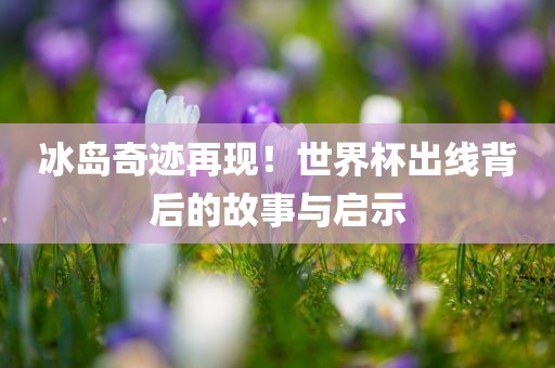 冰岛奇迹再现！世界杯出漯河市盈旭机械设备有限公司线背后的故事与启示