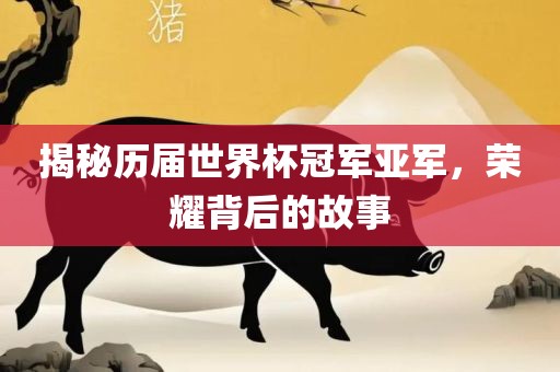 揭秘历届世界杯冠军亚军，荣耀背后的故事