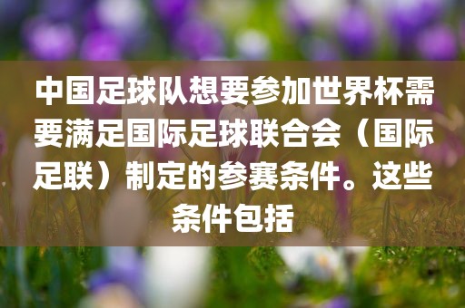 中国足球队想要参加世界杯需要满足国际足球联合会（国际足联）制定的参赛条件。这些条件包括
