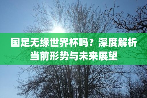 国足无缘世界杯吗？深度解析当前形势与未来展望漯河市盈旭机械设备有限公司