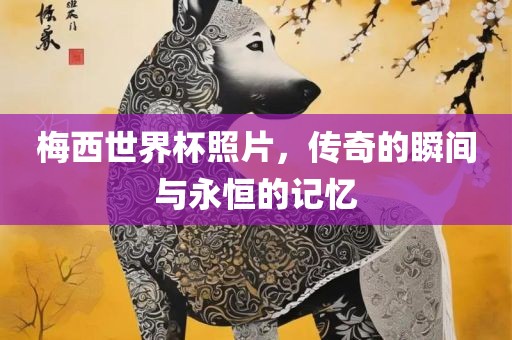 梅西世界杯照片，传奇的瞬间与永恒的记忆漯河市盈旭机械设备有限公司