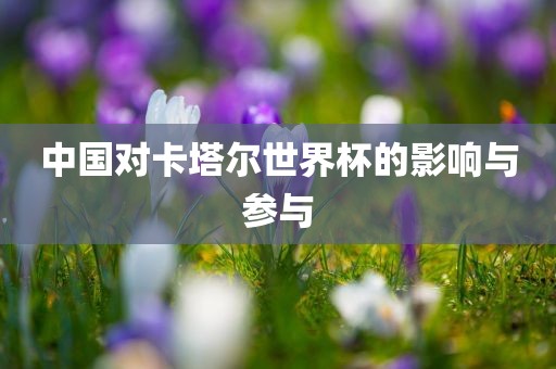 中国对卡塔尔世界杯的影响与参与漯河市盈旭机械设备有限公司