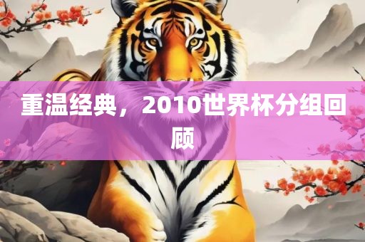 重温经典，2010世界杯分组回顾漯河市盈旭机械设备有限公司