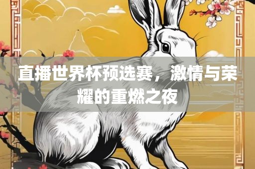 直播世界杯预选赛，激情与荣耀的重燃之夜