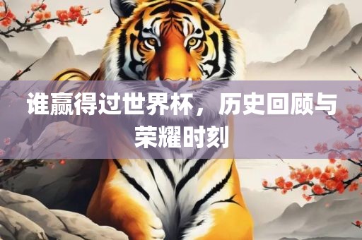 谁赢得过世界杯，历史回顾与荣耀时刻漯河市盈旭机械设备有限公司
