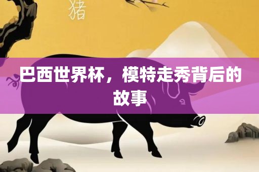 巴西世界杯，模特走秀背后的故事漯河市盈旭机械设备有限公司
