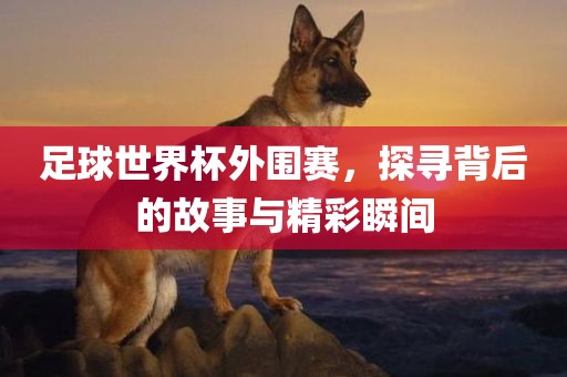 足球世界杯外围赛，探寻背后的故事与精彩瞬间