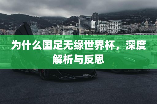 为什么国足无缘世界杯，深度解析与反思漯河市盈旭机械设备有限公司