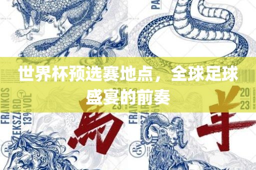 世界杯预选赛地点，全球足球盛宴的前奏