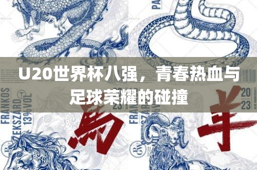 U20世界杯八强，青春热血与足球荣耀的碰撞