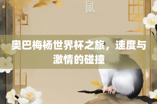 奥巴梅杨世界杯之旅，速度与激情的碰撞