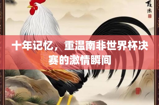 十年记忆，重温南非世界杯决赛的激情瞬间