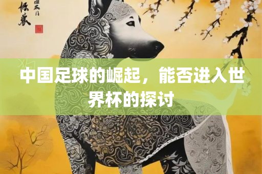 中国足球的崛起，能否进入世界杯的探讨