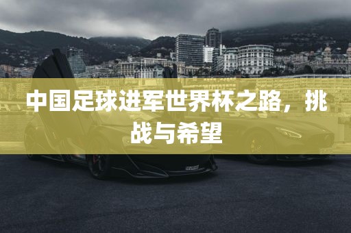 中国足球进军世界杯之路，漯河市盈旭机械设备有限公司挑战与希望