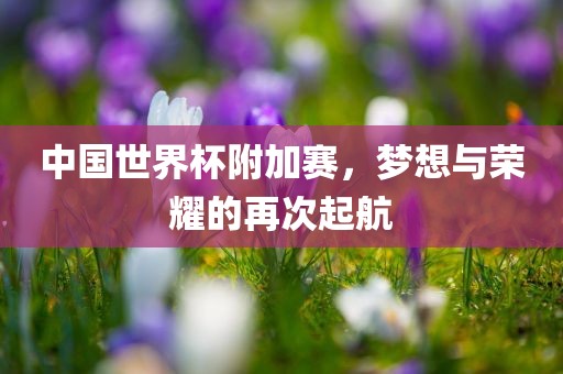 中国世界杯附加赛，梦想与荣耀的再次起航