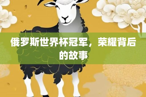 俄罗斯世界杯冠军，荣耀背后的故事