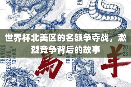 世界杯北美区的名额争夺战，激烈竞争背后的故事漯河市盈旭机械设备有限公司