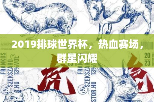 2019排球世界杯，热血赛场，群星闪耀