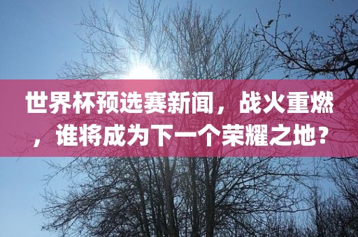 世界杯预选赛新闻，战火重燃，谁将成为下一个荣耀之地？