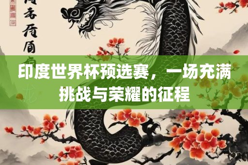 印度世界杯预选赛，一场充满挑战与荣耀的征程