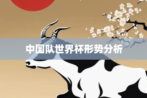 中国队世界杯形势分析漯河市盈旭机械设备有限公司