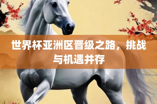 世界杯亚洲区晋级之路，挑战与机遇并存