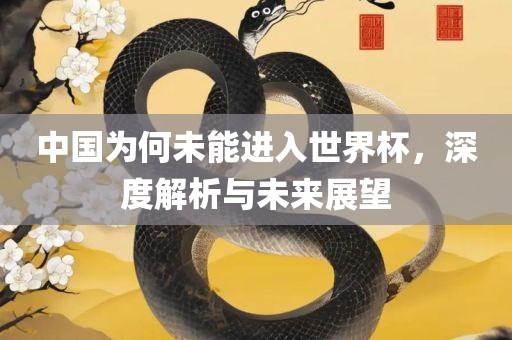 中国为何未能进入世界杯，深度解析与未来展望