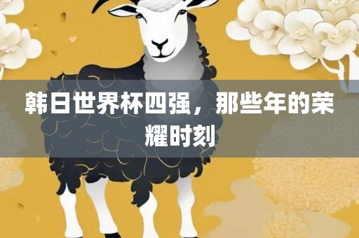 韩日世界杯四强，那些年的荣耀时刻漯河市盈旭机械设备有限公司