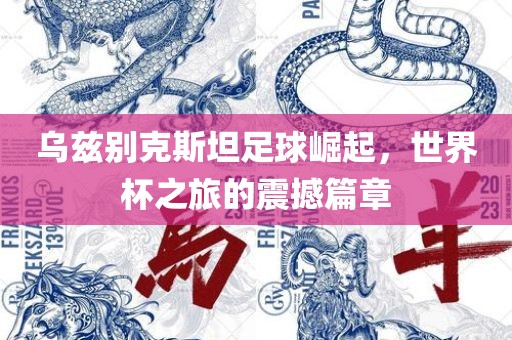 乌兹别克斯坦足球崛起，世界杯之旅的震撼篇章漯河市盈旭机械设备有限公司
